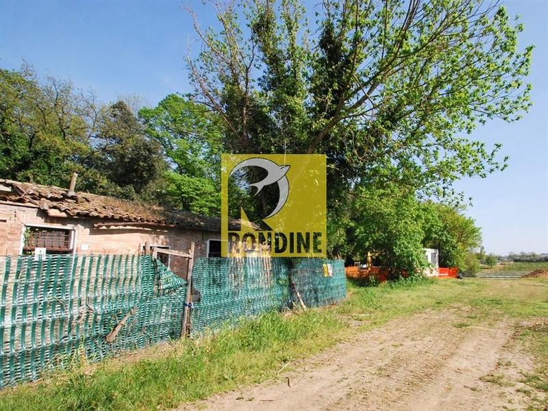 fotografie - Rustico / Casale Faenza (RA) Periferia Monte 