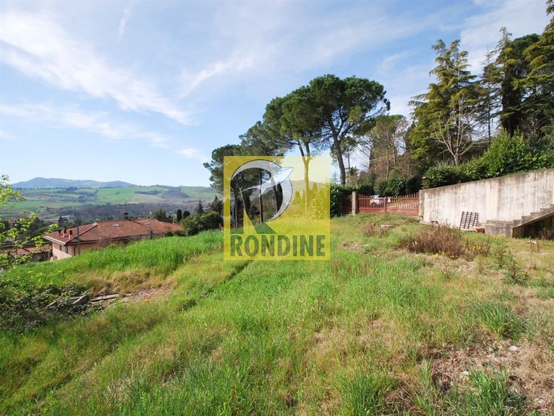 fotografie - Villa Riolo Terme (RA)  