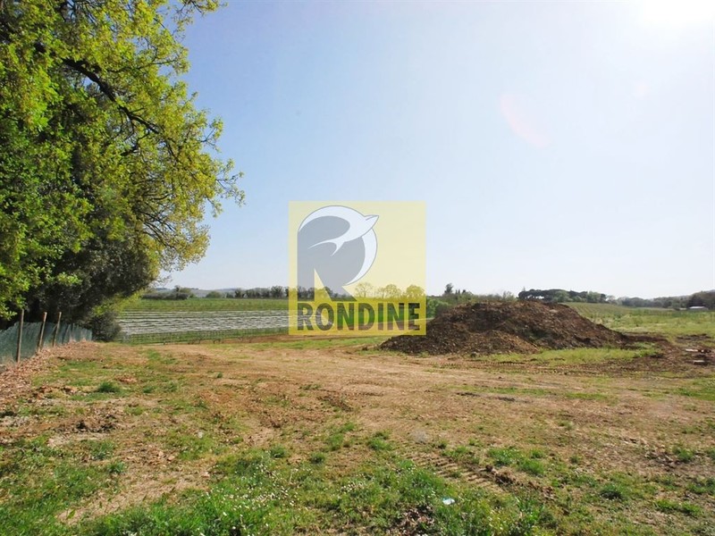 fotografie - Rustico / Casale Faenza (RA) Periferia Monte 
