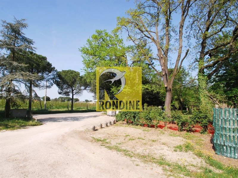 fotografie - Rustico / Casale Faenza (RA) Periferia Monte 