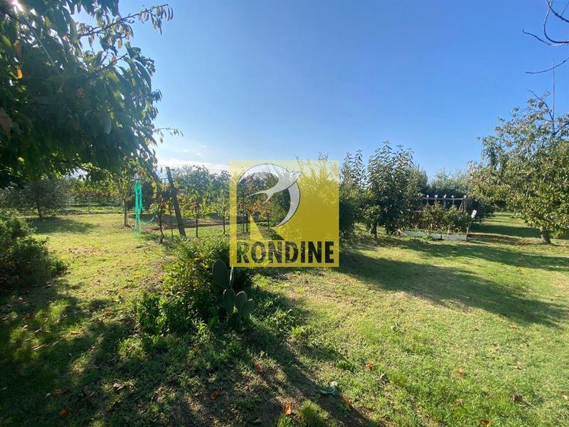 fotografie - Rustico / Casale Faenza (RA) Periferia Monte 