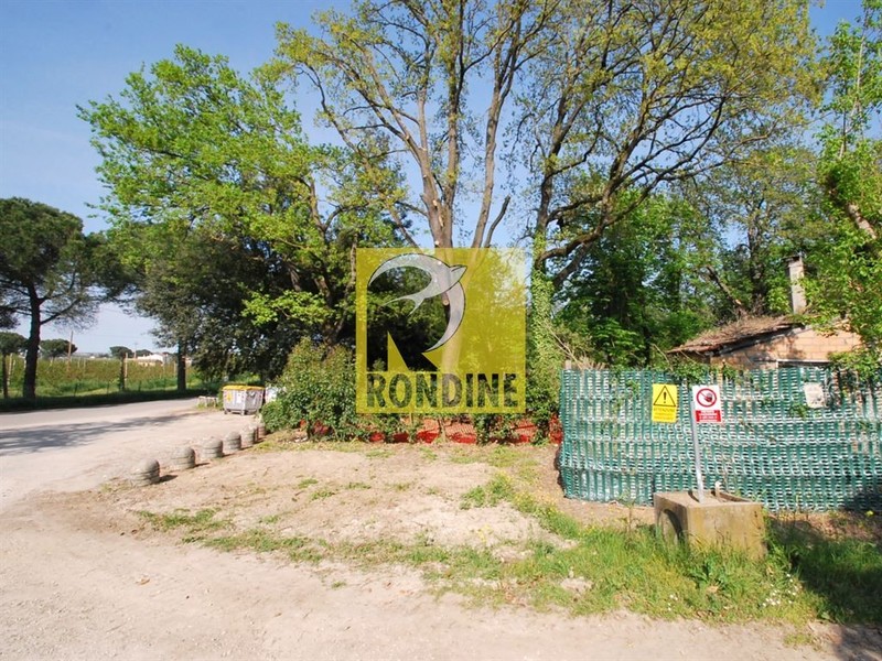 fotografie - Rustico / Casale Faenza (RA) Periferia Monte 