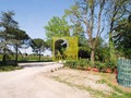 Rustico / Casale Faenza (RA) Periferia Monte 