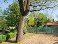 Rustico / Casale Faenza (RA) Periferia Monte 