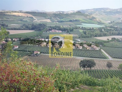 terreno edificabile Brisighella (RA) Marzeno